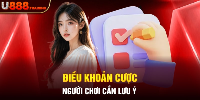 Một số lưu ý về các chính sách điều khoản sử dụng dịch vụ cá cược