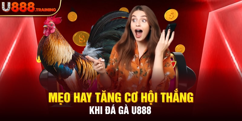 Mẹo giúp anh em kê thủ thắng đậm khi tham gia đá gà U888