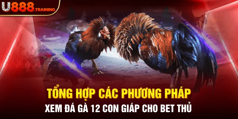 Một số phương pháp xem đá gà 12 con giáp chuẩn